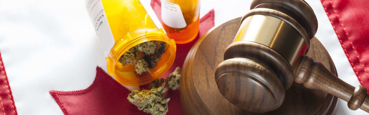 Cannabis in the Workplace