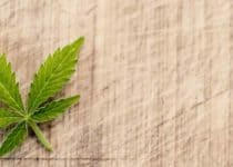 Pending Legalization of Marijuana
