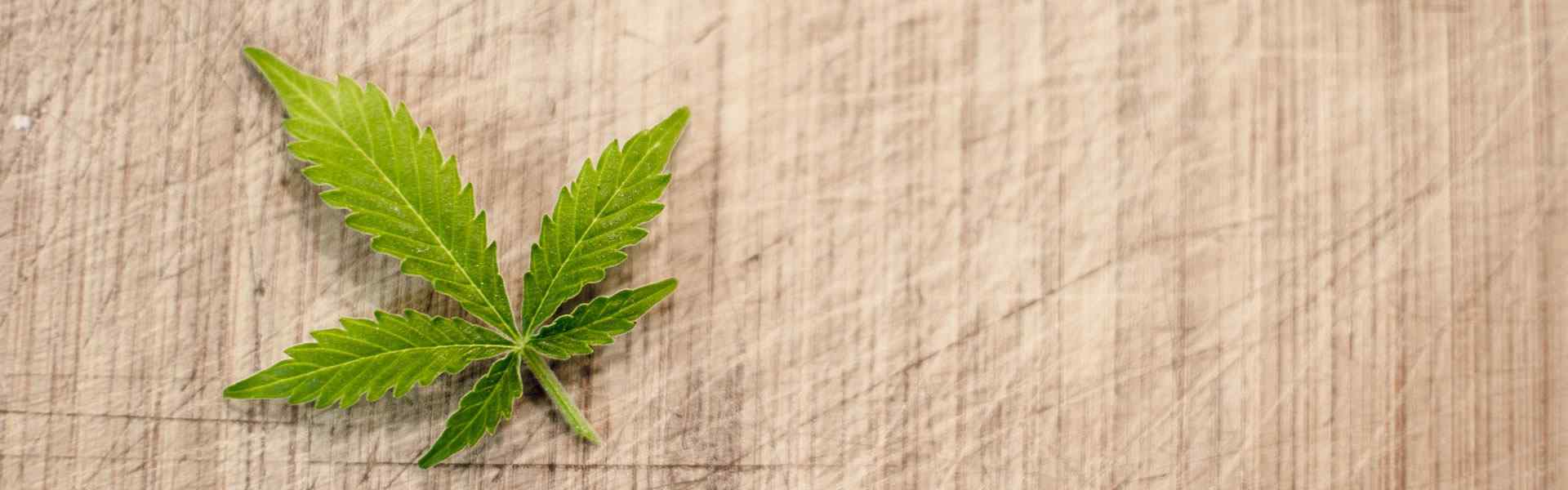 Pending Legalization of Marijuana